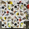 Alex Clark - J 12 - Birds - 1000 Piece