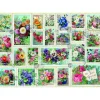 Bluebird - 70472 - Stamp Flower Collection (Barbara Behr) - 2000 Piece