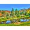 Bluebird - 70023 - Stowe, Vermont, USA - 1000 Piece