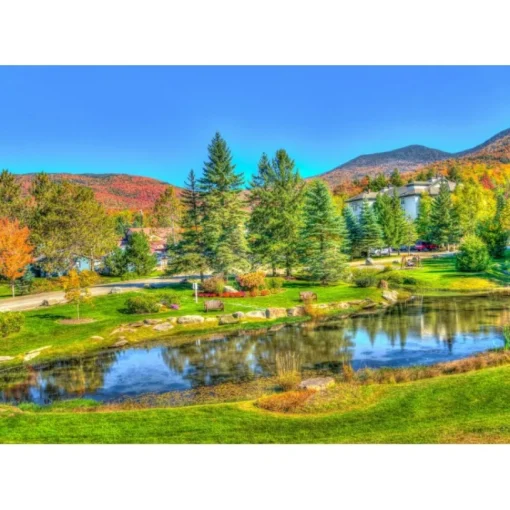 Bluebird - 70023 - Stowe, Vermont, USA - 1000 Piece