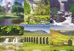 Cardtoons - The Yorkshire Dales - 1000 Piece
