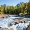 Castorland - 150762 - Athabasca River, Jasper National Park, Canada - 1500 Piece