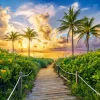 Castorland - 300617 - Colourful Sunrise in Miami, USA - 3000 Piece