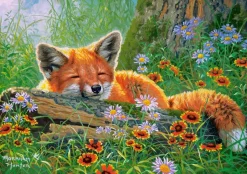 Castorland - 53872 - Foxy Dreams (Abraham Hunter) - 500 Piece