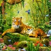 Castorland - 53711 - His Majesty the Tiger (Adrian Chesterman) - 500 Piece