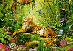 Castorland - 53711 - His Majesty the Tiger (Adrian Chesterman) - 500 Piece