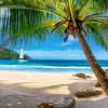 Castorland - 53827 - Holidays in Seychelles - 500 Piece