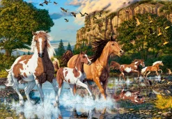 Castorland - 104789 - Horse Wonderland (Steve Read) - 1000 Piece