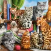 Castorland - 200726 - House of Cats (Marcello Corti) - 2000 Piece