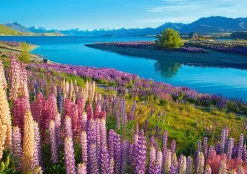 Castorland - 53896 - Lake Tekapo, New Zealand - 500 Piece