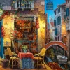Castorland - 300426 - Our Special Place in Venice (Viktor Shvaiko) - 3000 Piece