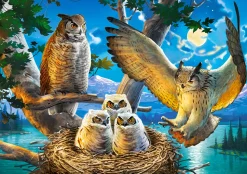 Castorland - 53322 - Owl Family - 500 Piece