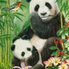 Castorland - 104987 - Panda Brunch (William Vanderdasson) - 1000 Piece