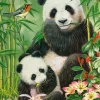 Castorland - 030507 - Panda Brunch - 300 Piece