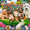 Castorland - 104406 - Pets in the Park (Howard Robinson) - 1000 Piece