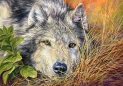 Castorland - 53285 - Pure Soul - 500 Piece