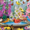 Castorland - 200818 - Rhythm of Nature (Russ Duerksen) - 2000 Piece