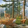 Castorland - 400317 - Royal Deer Family (James Hautman) - 4000 Piece