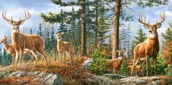 Castorland - 400317 - Royal Deer Family (James Hautman) - 4000 Piece