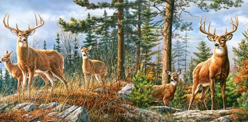 Castorland - 400317 - Royal Deer Family (James Hautman) - 4000 Piece