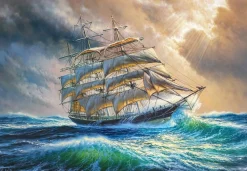 Castorland - 104529 - Sailing Against All Odds - 1000 Piece