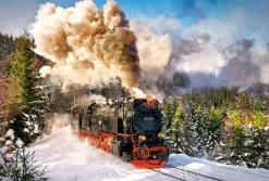 Castorland - 103409 - Steam Train - 1000 Piece