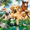 Castorland - 53230 - Summer Pals (Howard Robinson) - 500 Piece