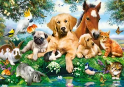 Castorland - 53230 - Summer Pals (Howard Robinson) - 500 Piece