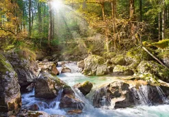 Castorland - 200382 - Sunny Forest stream - 2000 Piece