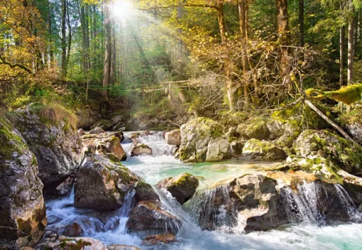 Castorland - 200382 - Sunny Forest stream - 2000 Piece