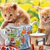 Castorland - 52356 - Tea Time Kittens - 500 Piece