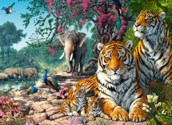 Castorland - 030484 - Tiger Sanctuary (Steve Read) - 300 Piece