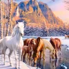 Castorland - 53704 - Winter Melt (Andrew Farley) - 500 Piece