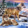 Castorland - 53049 - Wolfish Wonderland (Jan Patrik Krasny)