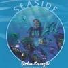 Ceaco - 2946-22 - Seaside Dolphins (John Enright) - 750piece Circular