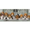 Clementoni - 39435 - Beagles - 1000 piece