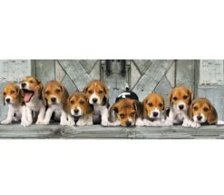Clementoni - 39435 - Beagles - 1000 piece