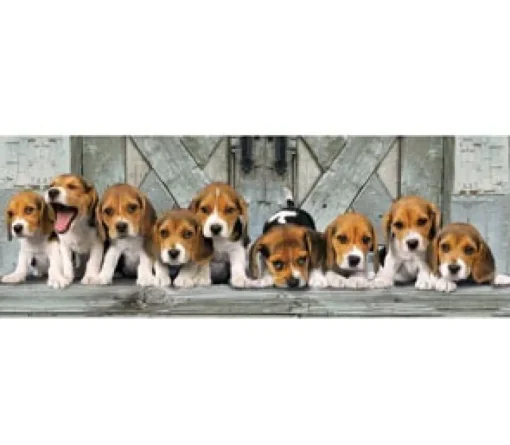 Clementoni - 39435 - Beagles - 1000 piece