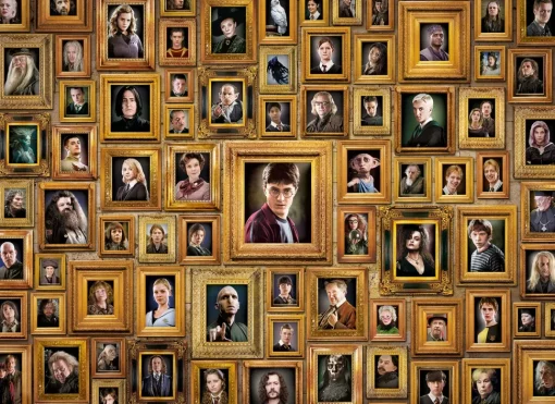 Clementoni - 61881 - Harry Potter Impossible Puzzle - 1000 piece
