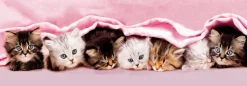 Clementoni - 39127 - Kittens Under The Blanket - 1000 Piece Panoramic