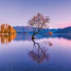 Clementoni - 39608 - Lake Wanaka Tree - 1000 Piece Panorama