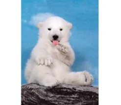 Clementoni - 30364 - Polar Bear - 500piece