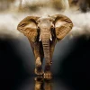 Clementoni - 39416 - The Elephant - 1000 Piece
