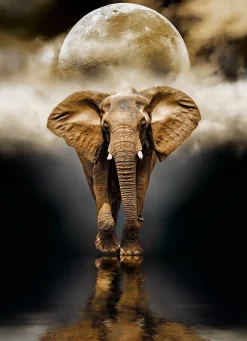 Clementoni - 39416 - The Elephant - 1000 Piece