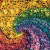Clementoni - 39779 - Whirl - 1000 Piece