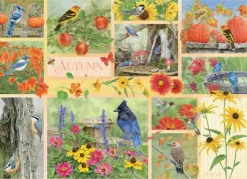 Cobble Hill - 45103 - Garden Birds in Autumn (Jane Shasky) - 500 XL Piece