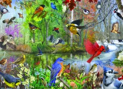 Cobble Hill - 40163 - Birds of the Season (Christopher Vest) - 1000 Piece (Random Cut)