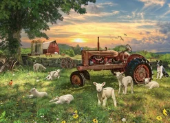 cobble Hill - 40268 - Field at Sunrise - 1000 Piece