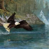 Cobble Hill - 40264 - Fly Fishing (Hayden Lambson) - 1000 Piece