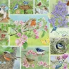 Cobble Hill - 45101 - Garden Birds in Spring (Jane Shasky) - 500 XL Piece
